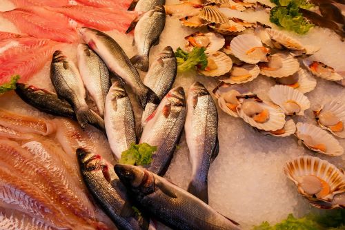 Você sempre come peixe ou só na Semana Santa?