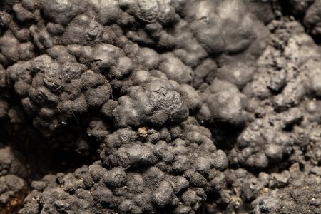 OPINIÃO - Potencial energético da mineração oceânica pode colocar a pesca global em risco