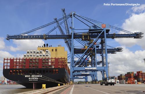 Exportações de carne suína batem recorde histórico em setembro