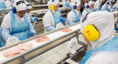 Exportações de carne de frango crescem 21,3% em setembro
