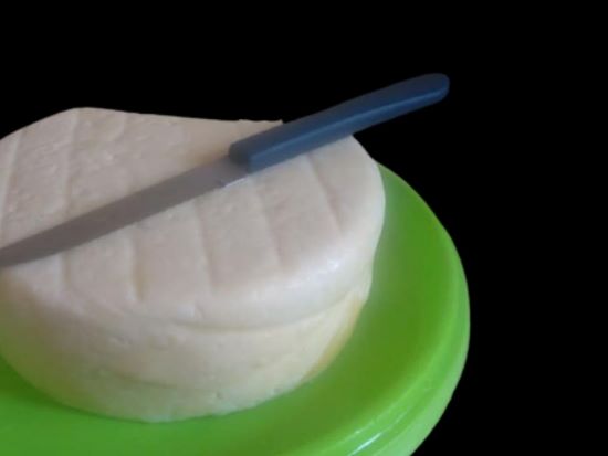 Cientistas investigam a contaminação por bactérias em queijo minas frescal