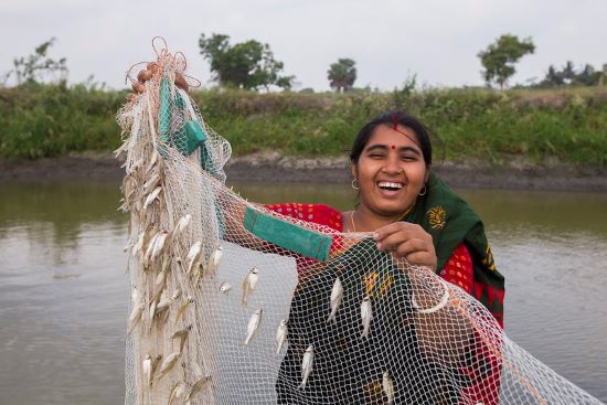 Por que peixes e alimentos aquáticos são a resposta para a fome global?