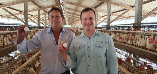 Granjas BL e Foesch são vencedoras do 5º Concurso de Qualidade de Ovos Capixaba