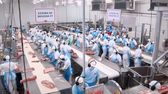 Mercado favorável à carne suína impulsiona crescimento da Saudali