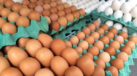 Exportações de ovos mantém alta de 138,9% em 2021