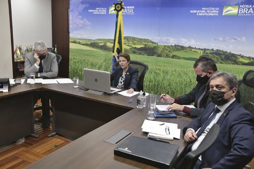 Ações de combate à Peste Suína Africana terão recursos de parceria internacional