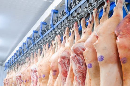 Exportações de carne suína mantêm alta de 11,29%, aponta a ABPA
