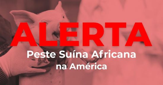 Grupo de Prevenção à Peste Suína Africana expande atuação pelas américas